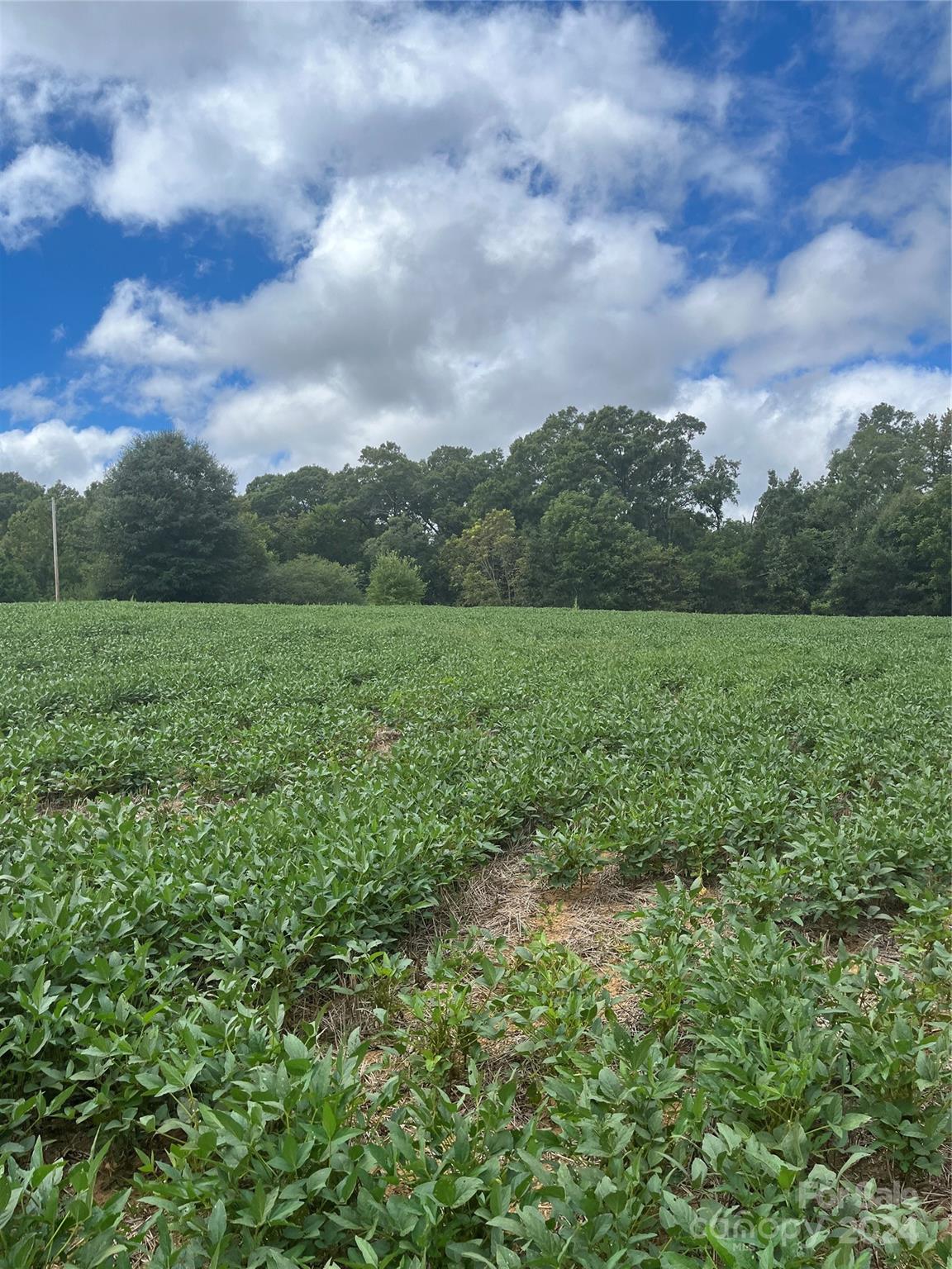 0 South Us Highway Norwood, NC 28128 - Photo 6 of 15