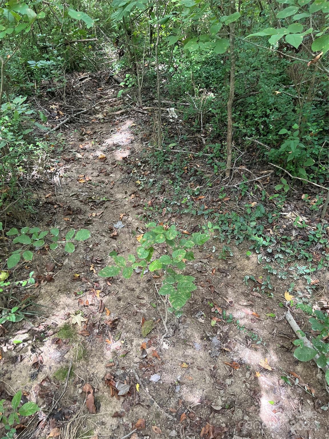 0 South Us Highway Norwood, NC 28128 - Photo 8 of 15
