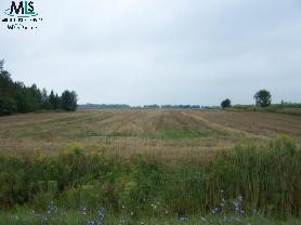 0 Rangeline Road Palms, MI 48465 - Photo 2 of 2 876762-1.JPG