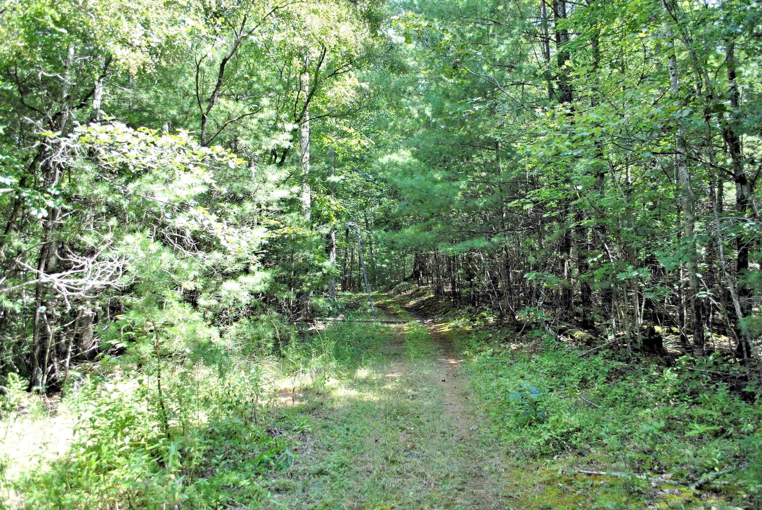 Tbd 153.054-ac Tbd 153.054-ac Chestnut Ridge Road Riner, VA 24149 - Photo 16 of 31 Gallery Image 16