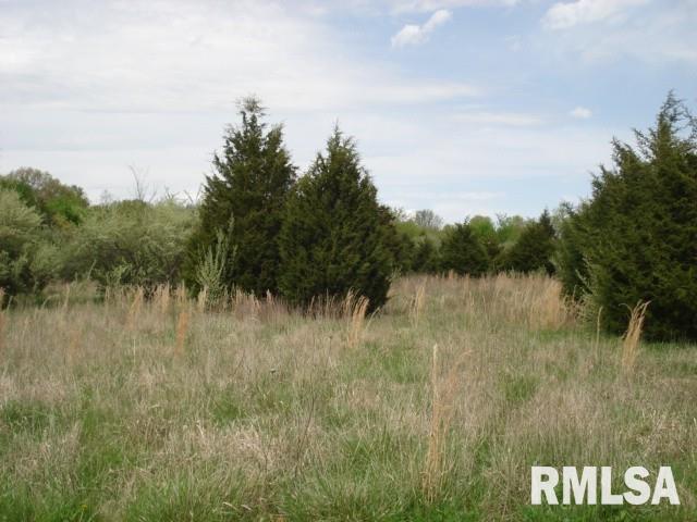 0 Pebble Road Mount Vernon, IL 62864 - Photo 2 of 3 Gallery Image 2