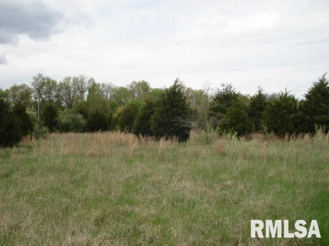 0 Pebble Road Mount Vernon, IL 62864 - Photo 3 of 3 Gallery Image 3