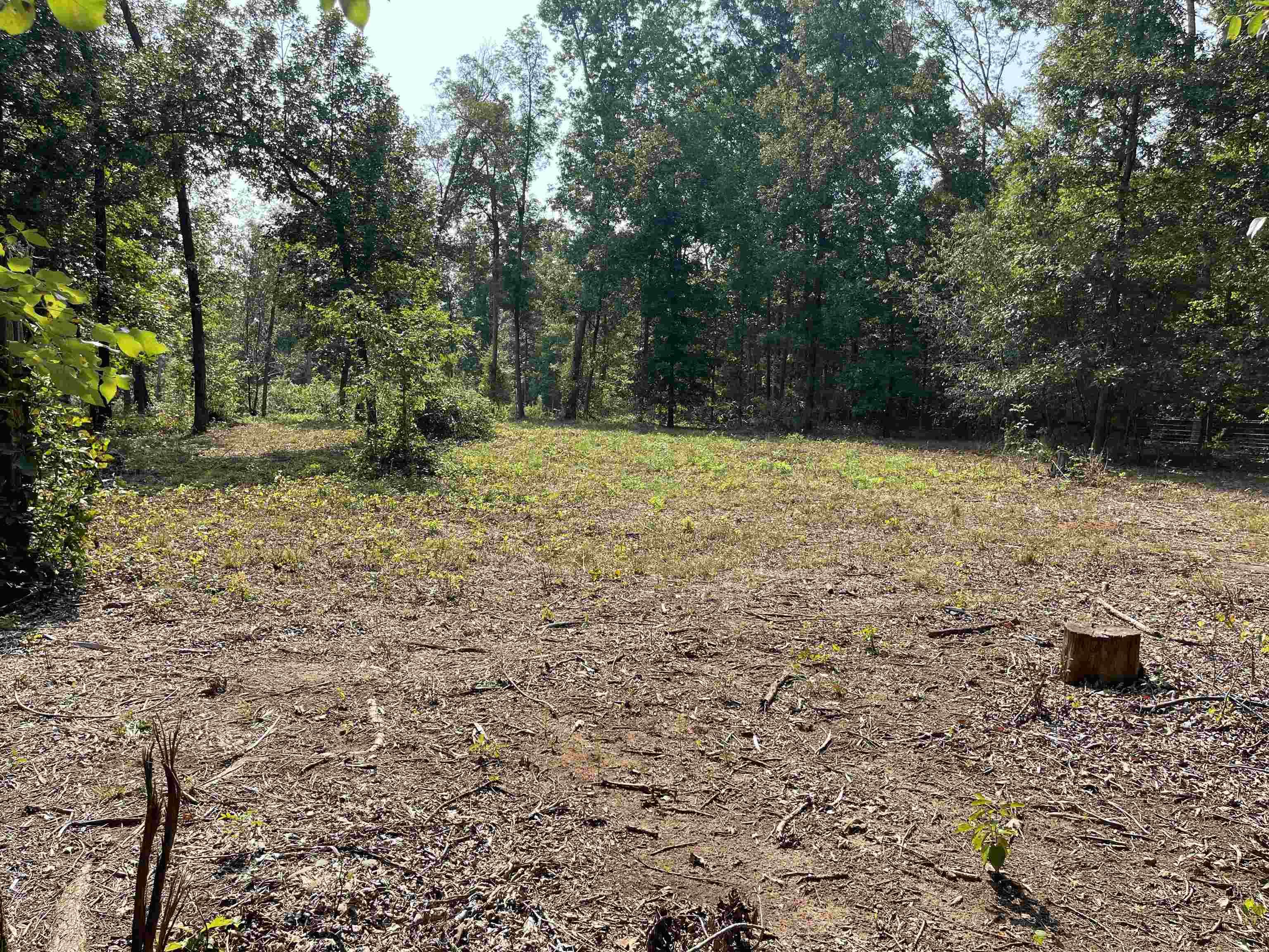1185 Blanton Road Sharon, SC 29742 - Photo 3 of 29