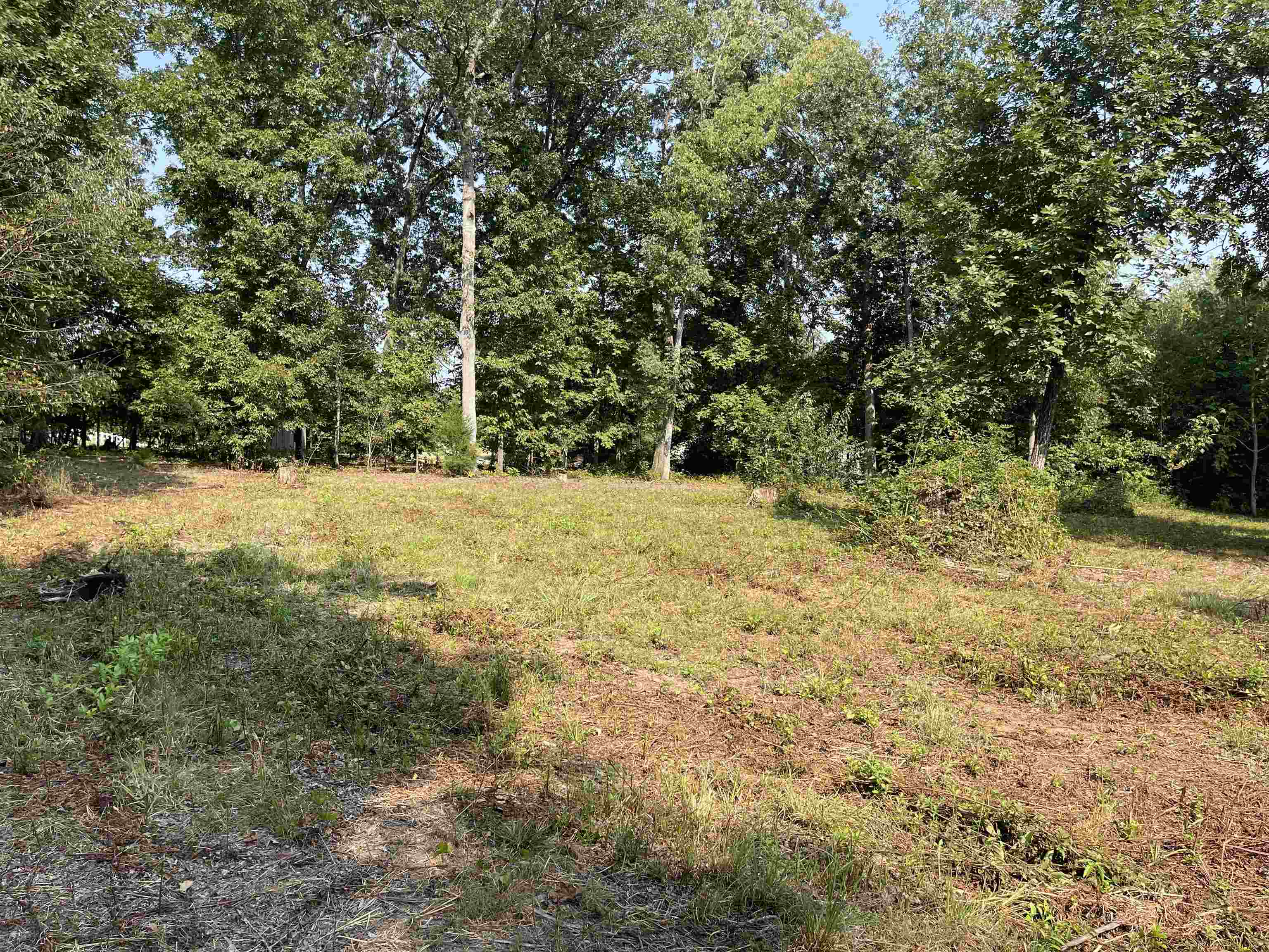 1185 Blanton Road Sharon, SC 29742 - Photo 4 of 29