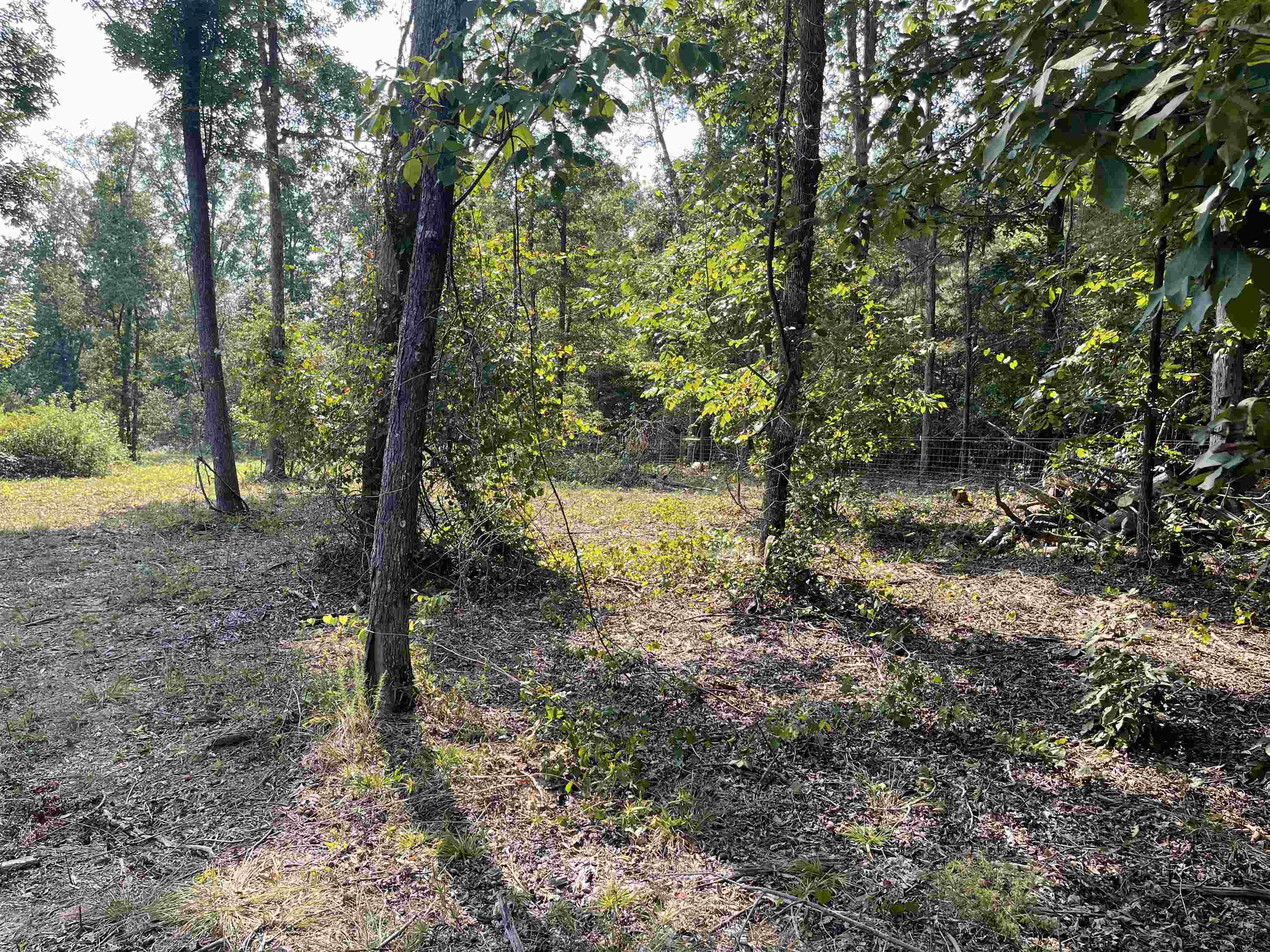 1185 Blanton Road Sharon, SC 29742 - Photo 6 of 29