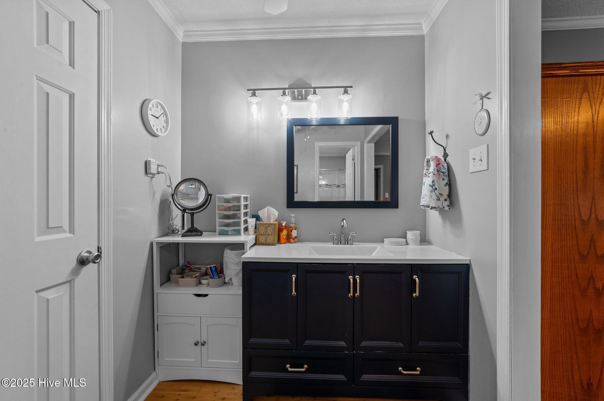 3428 Stanley Road Winterville, NC 28590 - Photo 18 of 50 MAIN ENSUITE SEPARATE VANITY