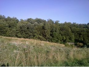 910 Berrytown Road, Unit 1 Duffield, VA 24244 - Photo 8 of 12 Land