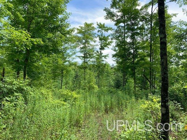Tbd M69 Nadeau, MI 49863 - Photo 11 of 14