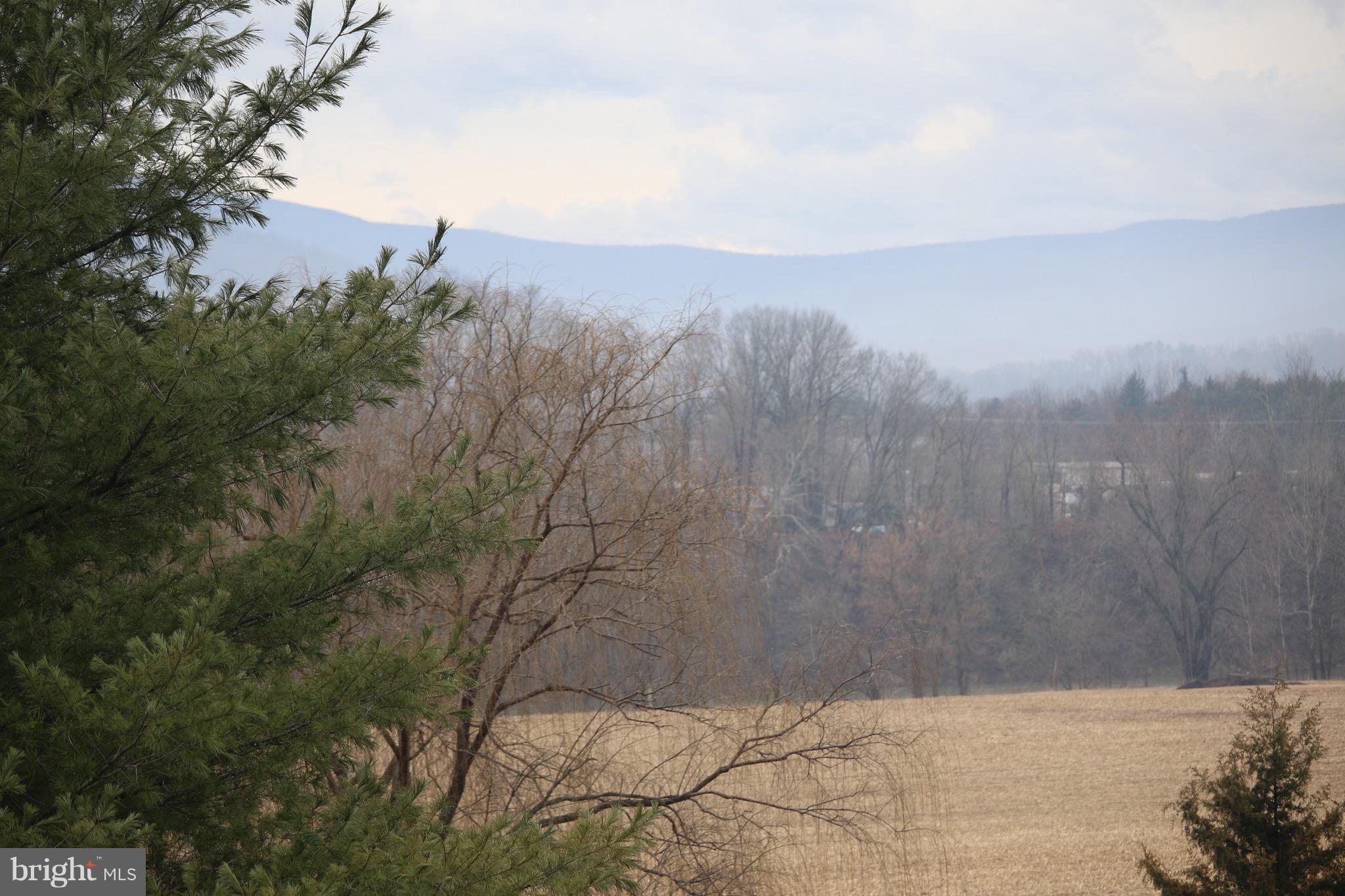 1132 Kesler Road Front Royal, VA 22630 - Photo 3 of 18 Amazing view from deck