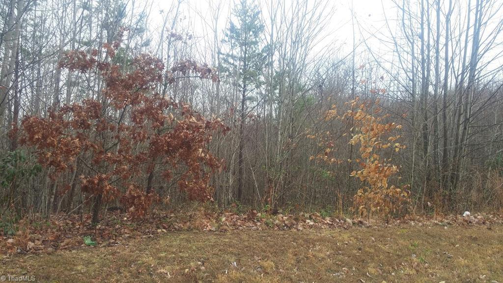 237 Athey Simmons Road Mount Airy, NC 27030 - Photo 1 of 1 Gallery Image 1