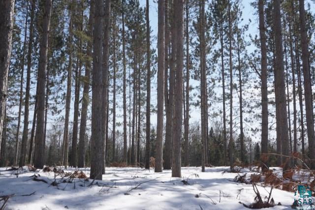 2316 Holm Road Two Harbors, MN 55616 - Photo 24 of 24