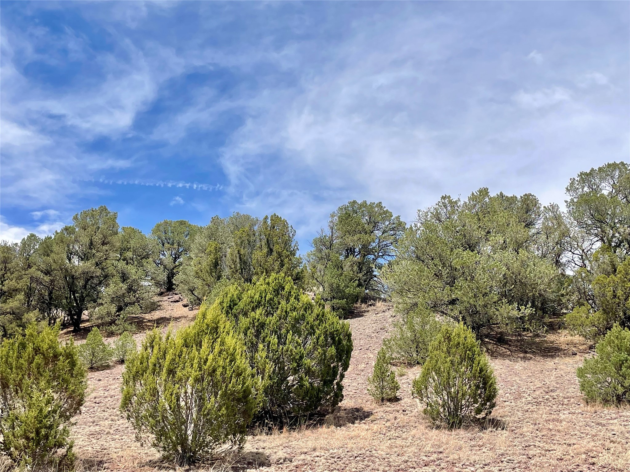 331 Mirasol Road Las Vegas, NM 87701 - Photo 10 of 14