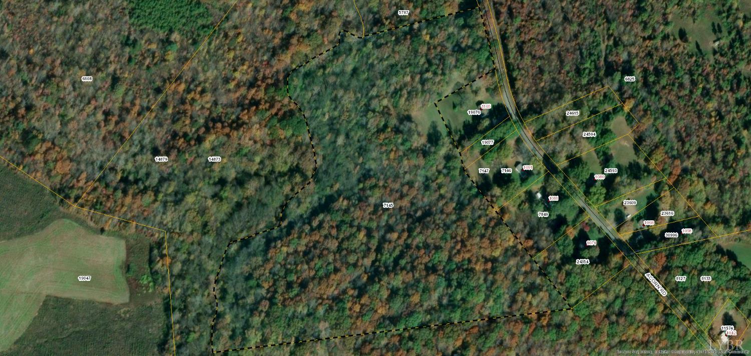 -tract C Acorn Road Nathalie, VA 24577 - Photo 4 of 4 a view of a lush green forest