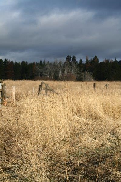 3614 West Oregon Road Deer Park, WA 99006 - Photo 19 of 20