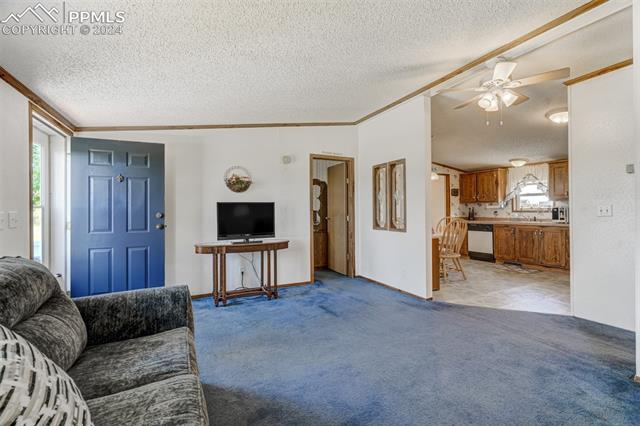 5845 Peerless Farms Road Peyton, CO 80831 - Photo 15 of 50 Carpeted living room with crown molding, a textured ceiling, and ceiling fan