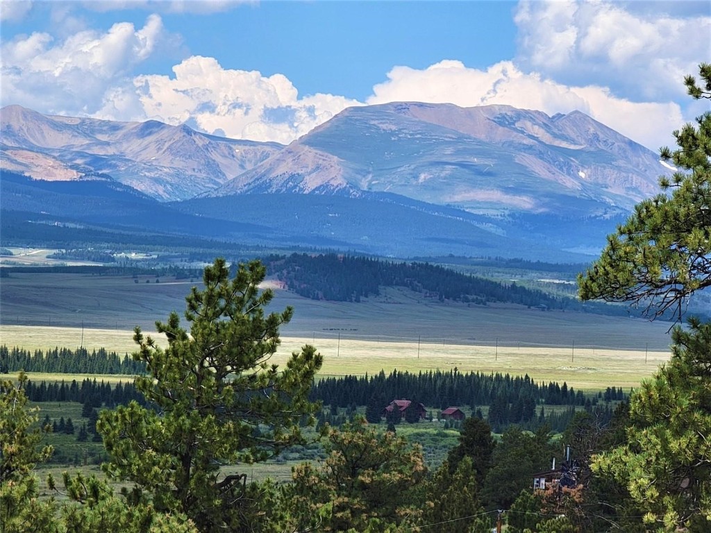 a view of a lake in middle of the forest