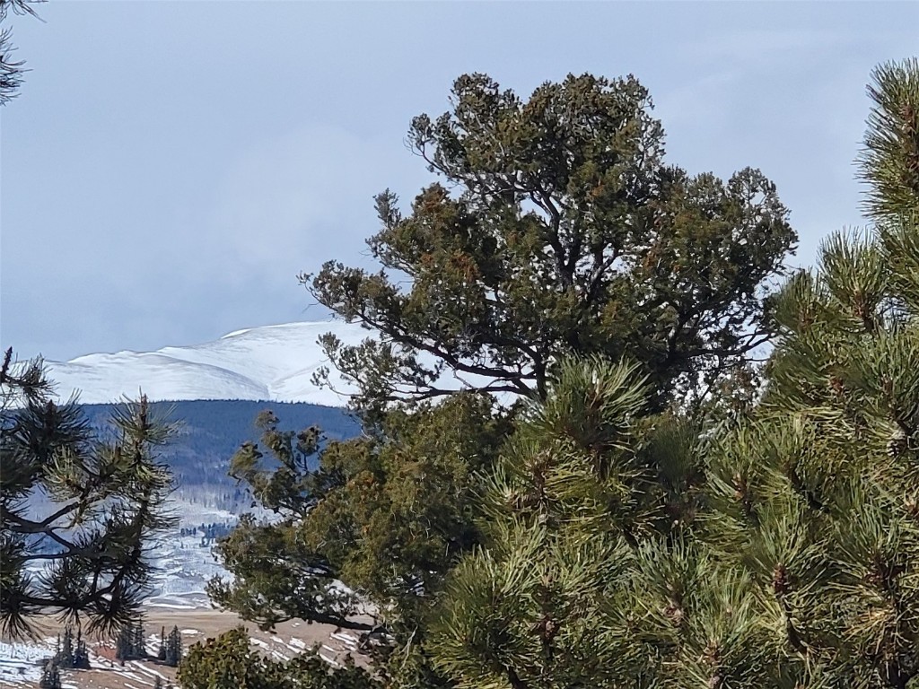 391 Bonell Drive Fairplay, CO 80440 - Photo 11 of 24 an aerial view of a house with a yard