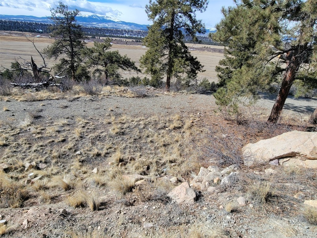 391 Bonell Drive Fairplay, CO 80440 - Photo 13 of 24 a view of a dry yard with trees