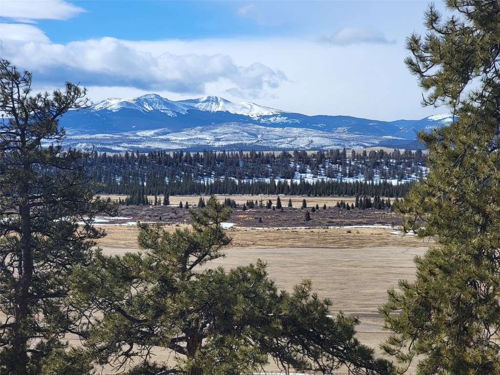 391 Bonell Drive Fairplay, CO 80440 - Photo 14 of 24 a view of a lake with a mountain