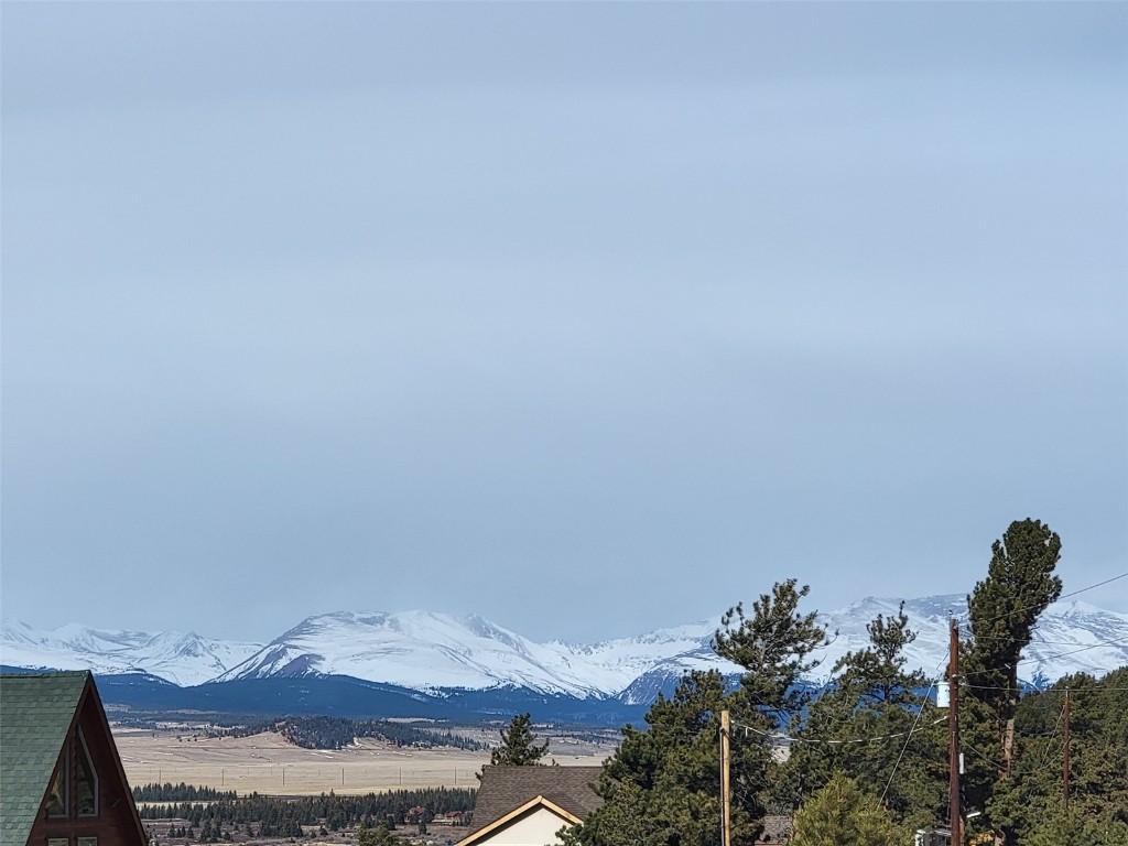 391 Bonell Drive Fairplay, CO 80440 - Photo 16 of 24 a view of a small space