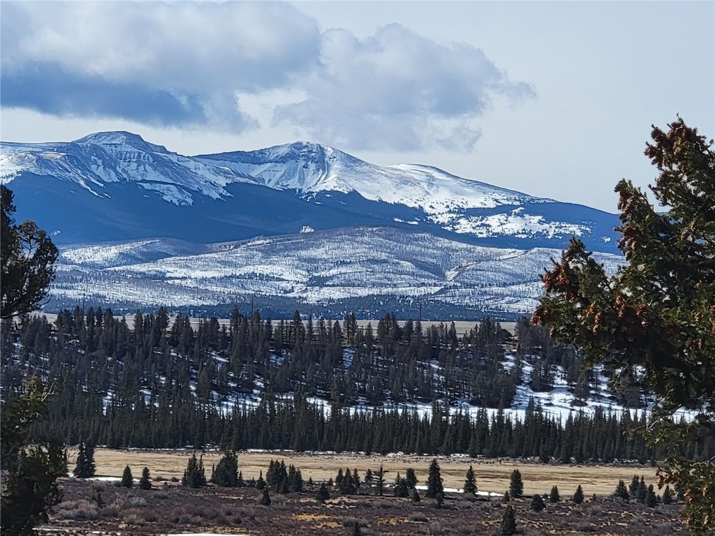 391 Bonell Drive Fairplay, CO 80440 - Photo 18 of 24 a view of a backyard with sitting area