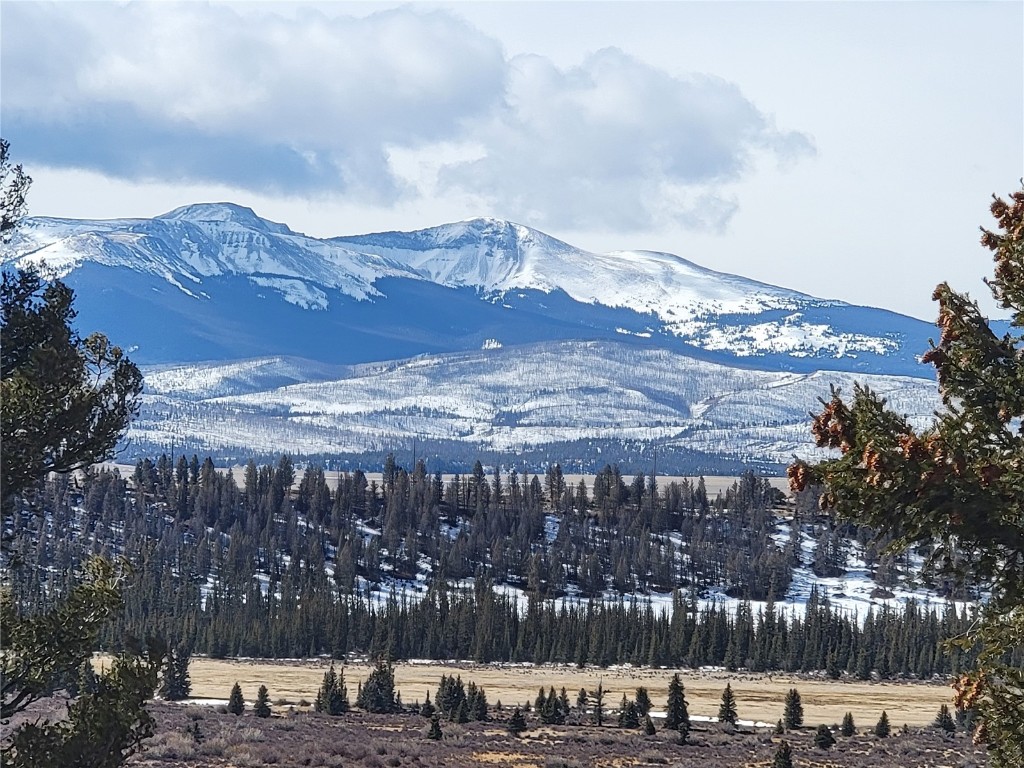 391 Bonell Drive Fairplay, CO 80440 - Photo 19 of 24 a view of a large building