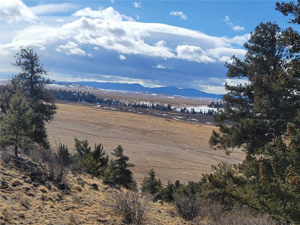391 Bonell Drive Fairplay, CO 80440 - Photo 21 of 24 a view of a lake from a yard