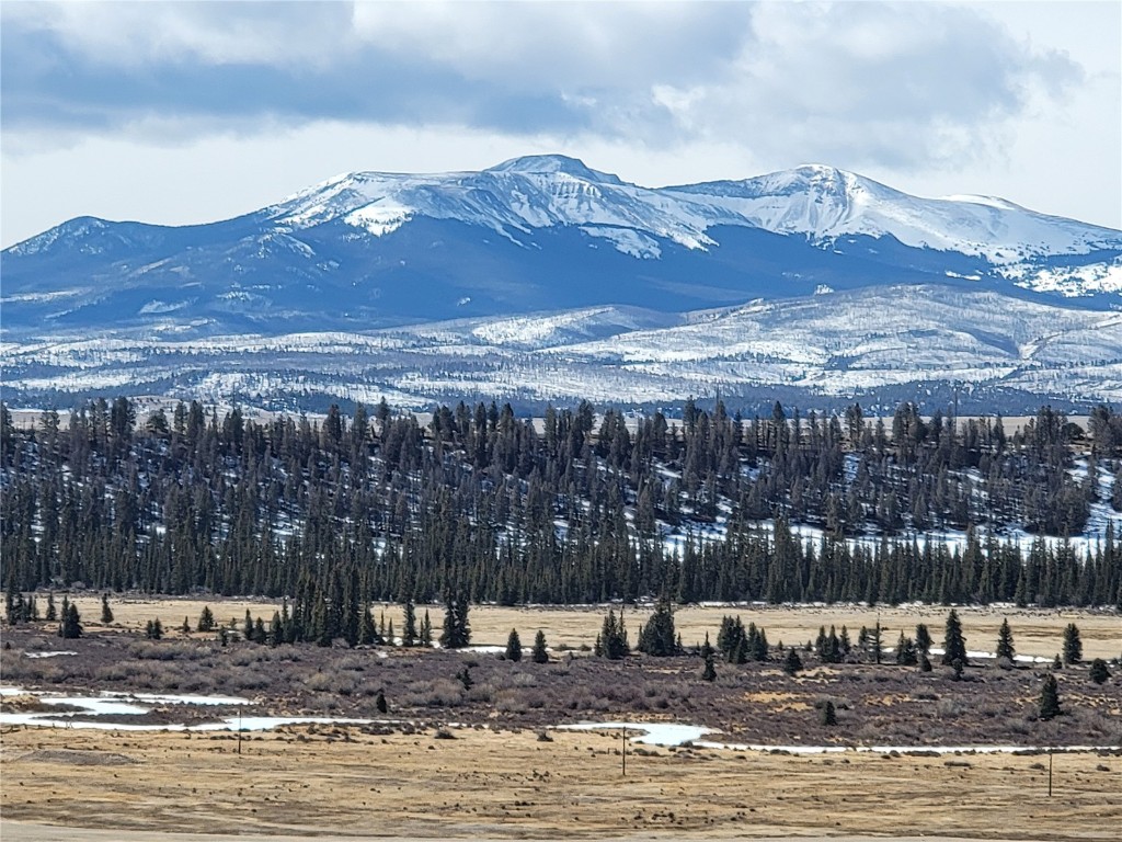 391 Bonell Drive Fairplay, CO 80440 - Photo 23 of 24 a view of a town with mountains in the background