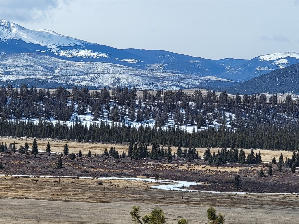 391 Bonell Drive Fairplay, CO 80440 - Photo 24 of 24 a view of a city