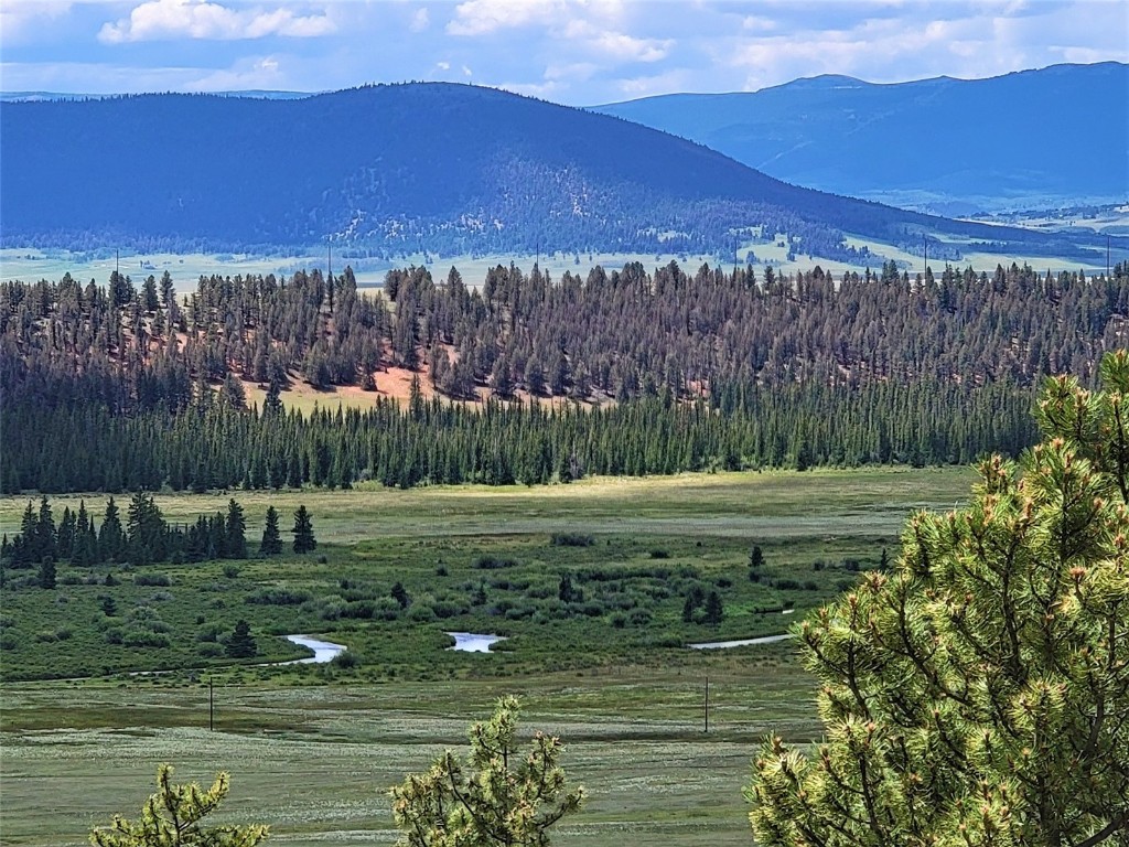 391 Bonell Drive Fairplay, CO 80440 - Photo 4 of 24 a view of a garden with a large tree in the background