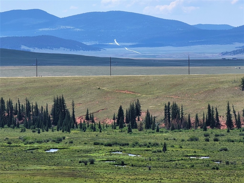 391 Bonell Drive Fairplay, CO 80440 - Photo 6 of 24 a view of a yard with a building and trees in the background