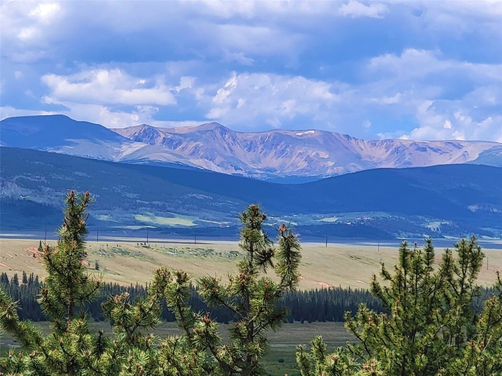 391 Bonell Drive Fairplay, CO 80440 - Photo 9 of 24 a view of a building in the middle of a field