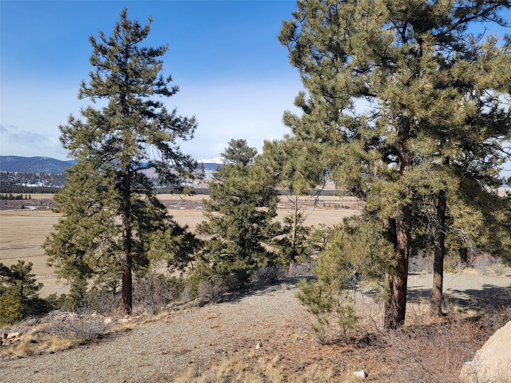 391 Bonell Drive Fairplay, CO 80440 - Photo 10 of 24