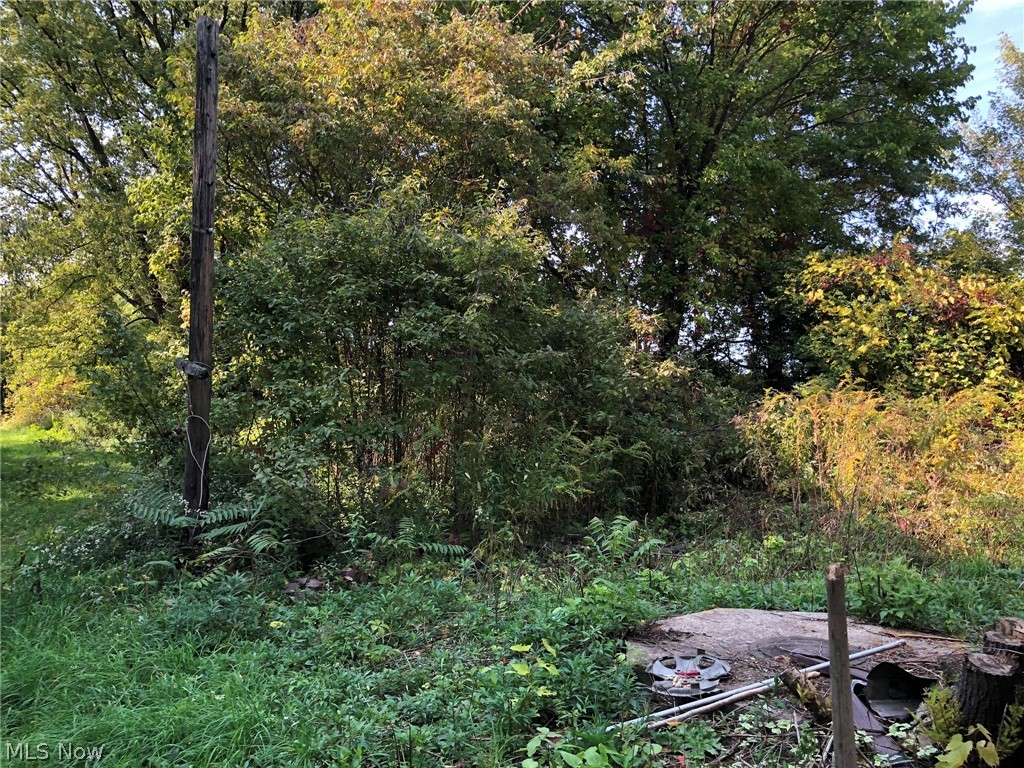 11032 Vermilion Road Oberlin, OH 44074 - Photo 5 of 16 Gallery Image 5