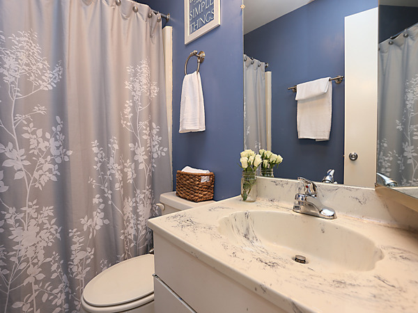 737 Shepard Court Gurnee, IL 60031 - Photo 11 of 18 a bathroom with a sink and toilet
