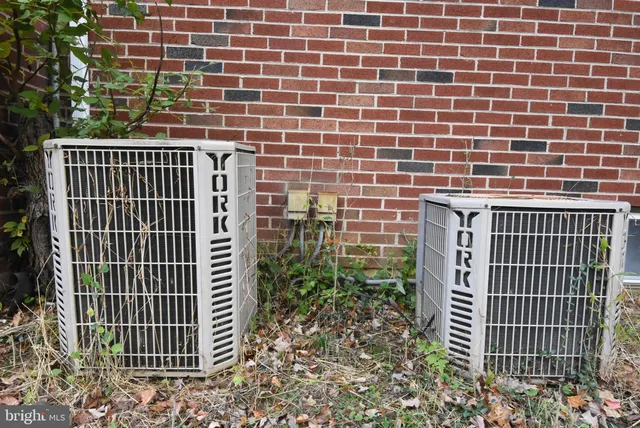 a view of a backyard with large trees and wooden fence