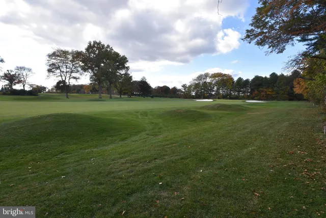 a view of a field of grass and trees