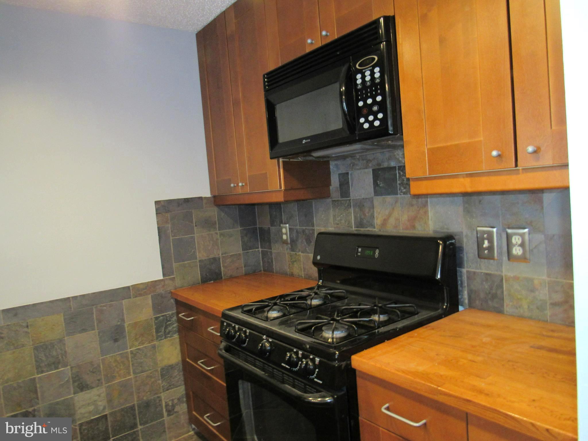 20991 Timber Ridge Terrace, Unit 102 Ashburn, VA 20147 - Photo 8 of 41 Gallery Image 8