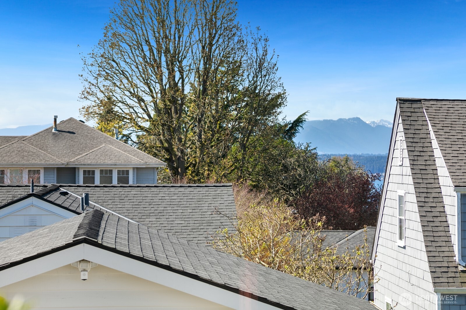 4015 West Prosper Street Seattle, WA 98199 - Photo 25 of 39