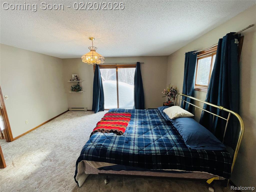 21805 South Wilwin Road Trout Lake, MI 49793 - Photo 26 of 54
