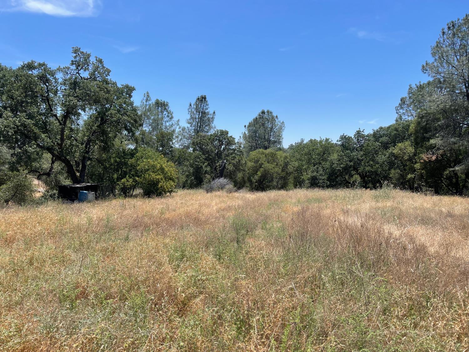 3608 Ramblin Road Mariposa, CA 95338 - Photo 2 of 11 Gallery Image 2