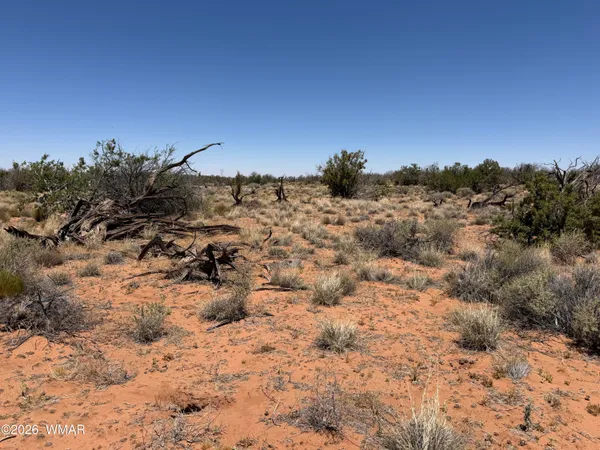 $28,500 | Lot 276 Chev Canyon Ranch, Unit 3, Overgaard, AZ 85933