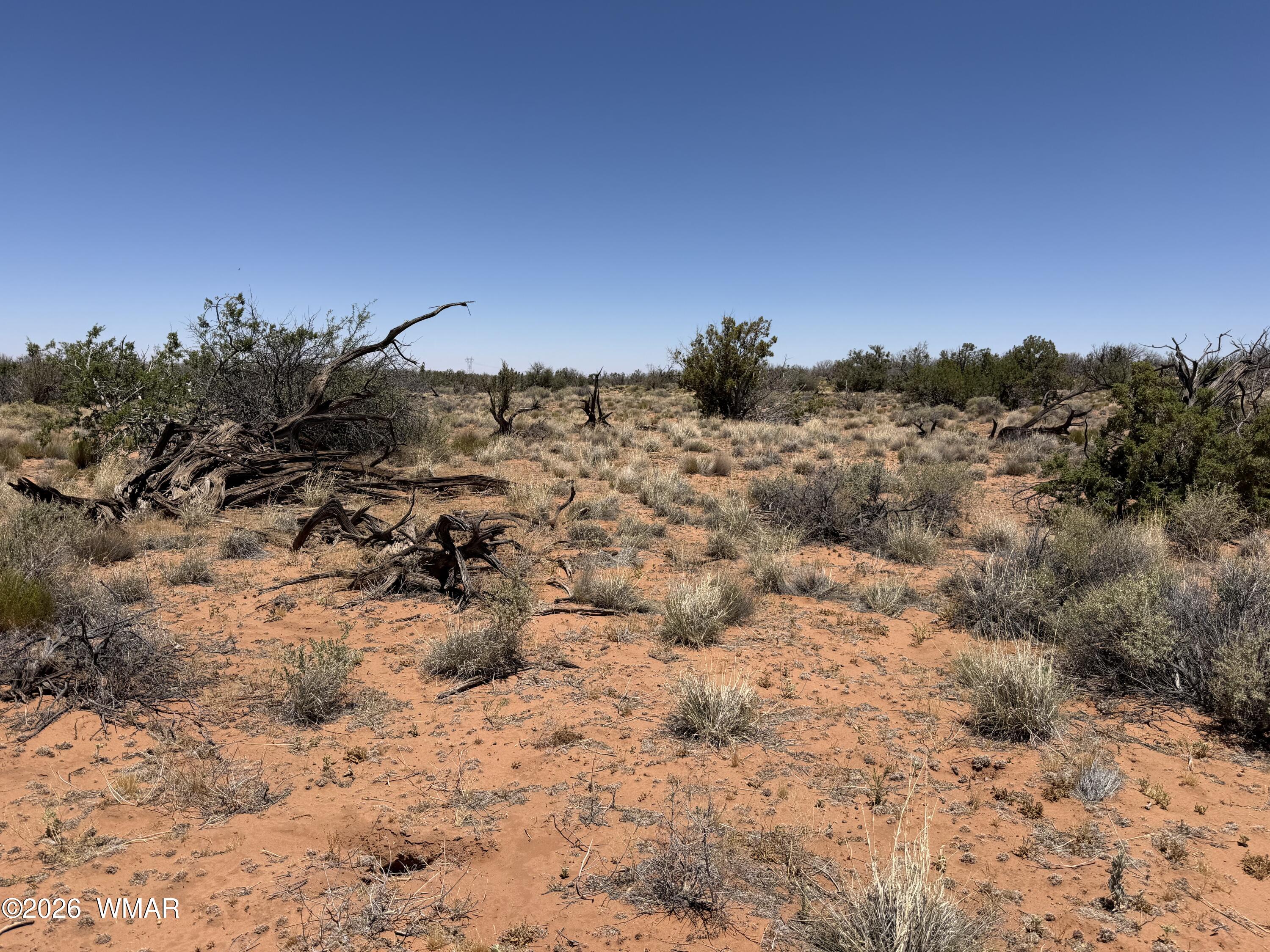 Lot 276 Chev Canyon Ranch, Unit 3 Overgaard, AZ 85933 - Photo 1 of 18