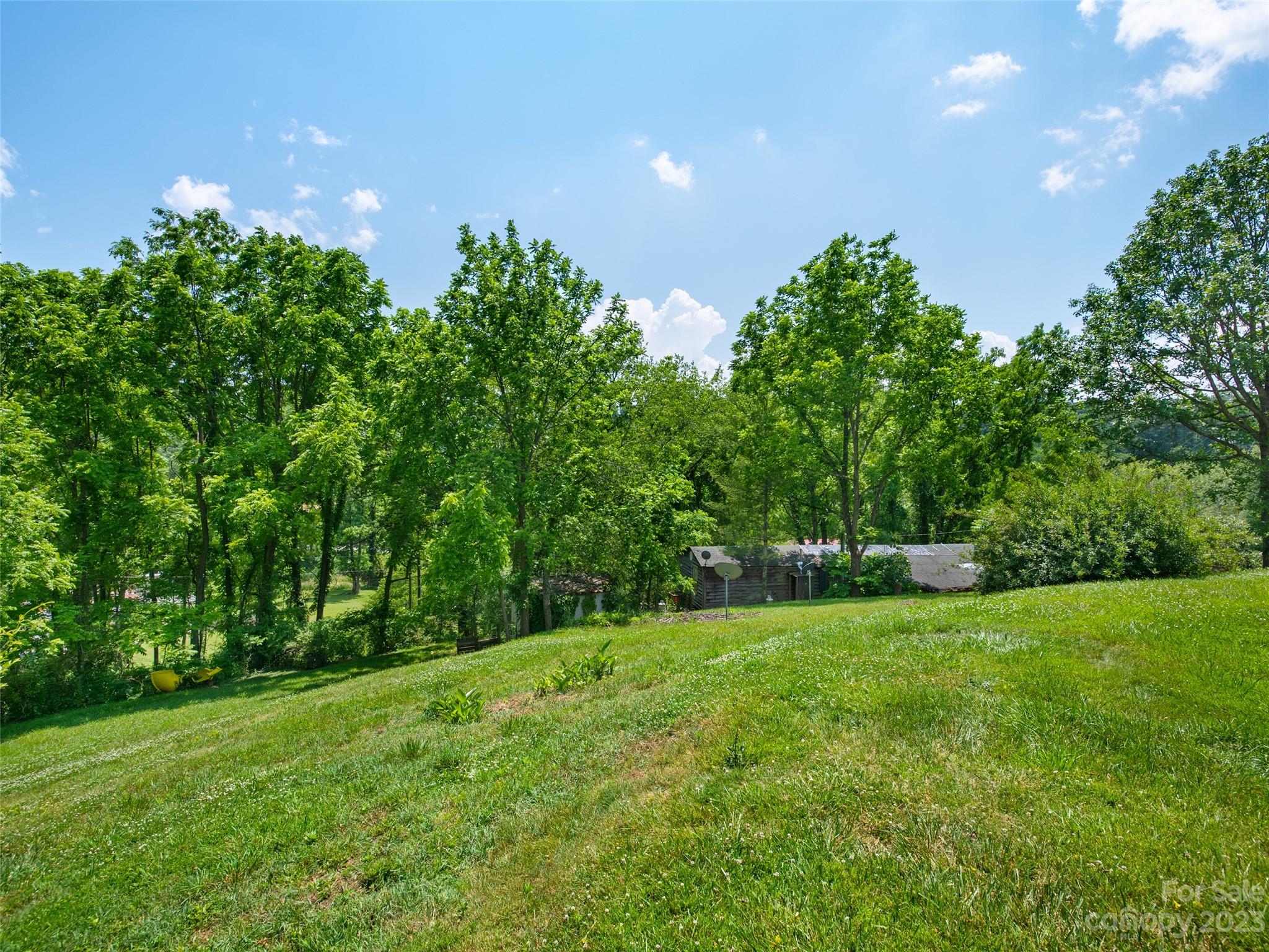118 North Canton Road Canton, NC 28716 - Photo 16 of 17 a backyard of a house with lots of green space