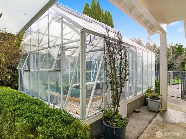 a view of a garden with plants