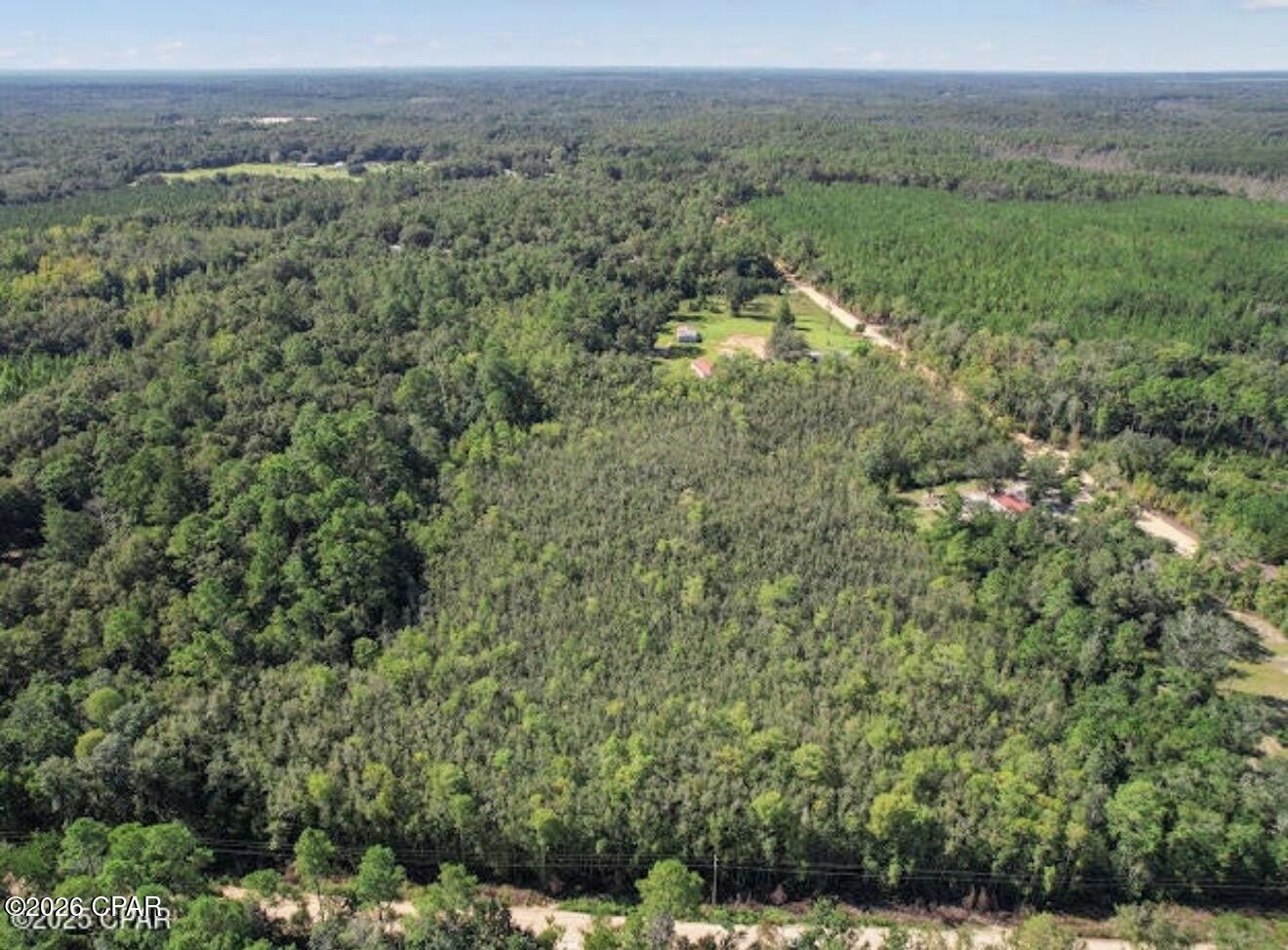0 St Marys Road Caryville, FL 32427 - Photo 6 of 8