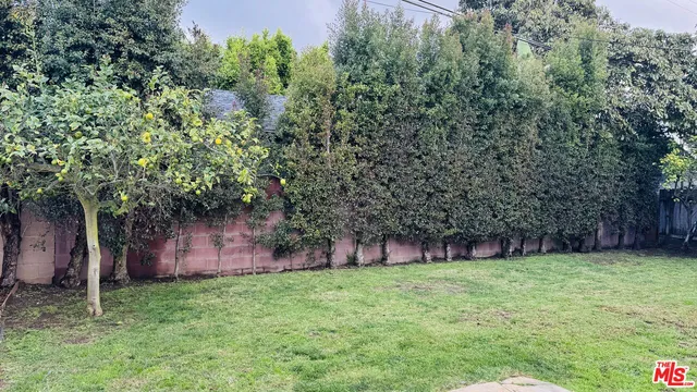a view of a backyard with plants and large trees
