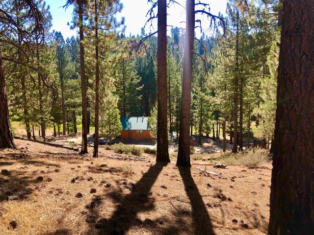 a view of a patio with chairs and potted plants