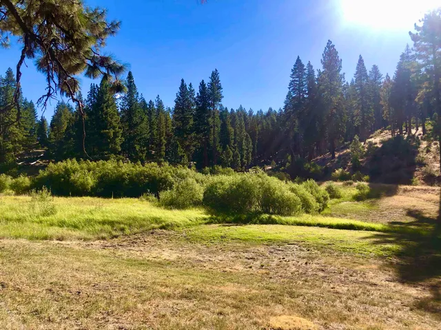 a backyard of a house with a yard and outdoor seating