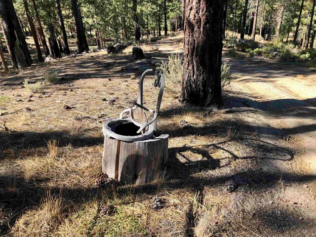 a view of a street with trees on the road